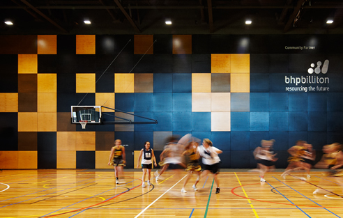 stained and sealed timber lining basketball stadium