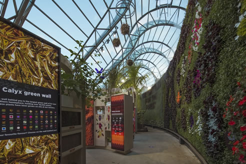 lighting system for The Calyx Sydney Royal Botanic Gardens