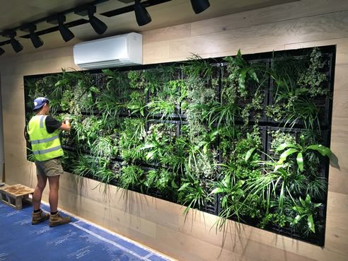 Apartment Foyer Green Wall