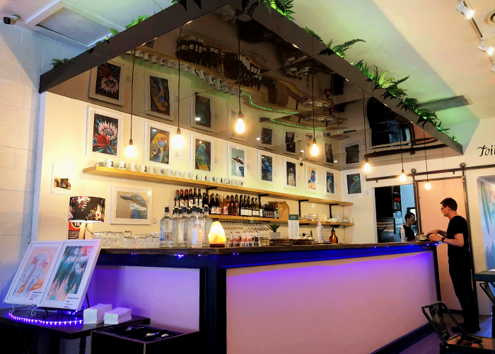 Coloured Acrylic Ceilings & Walls for Bars by Allplastics