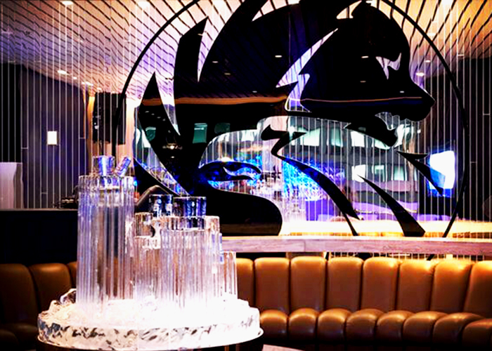 Coloured Acrylic Ceilings & Walls for Bars by Allplastics