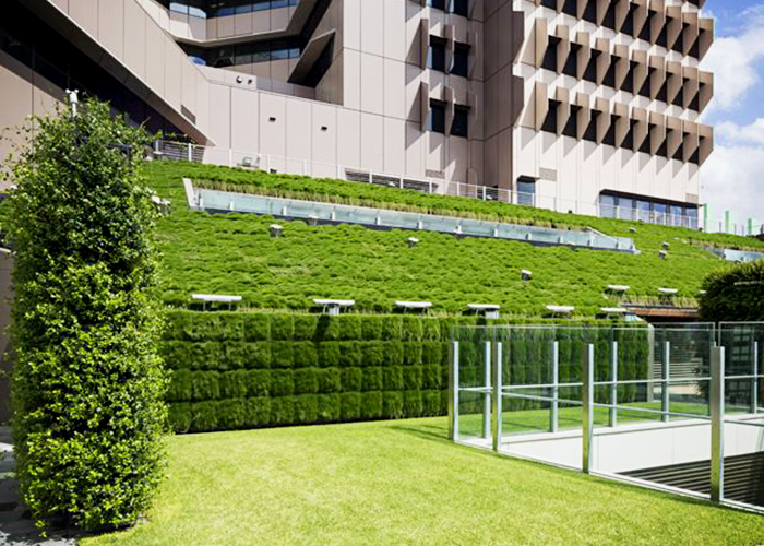Vertical Gardens for Lady Cilento by Elmich
