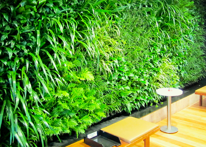 PVC Sheet Membrane for Vertical Gardens from Projex