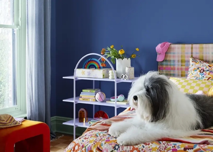 The Colours of Summer 2023 Colour Trend by Dulux