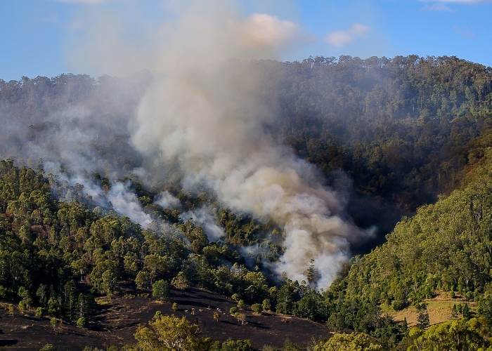 Advantages of Steel in Bushfire Design by NASH