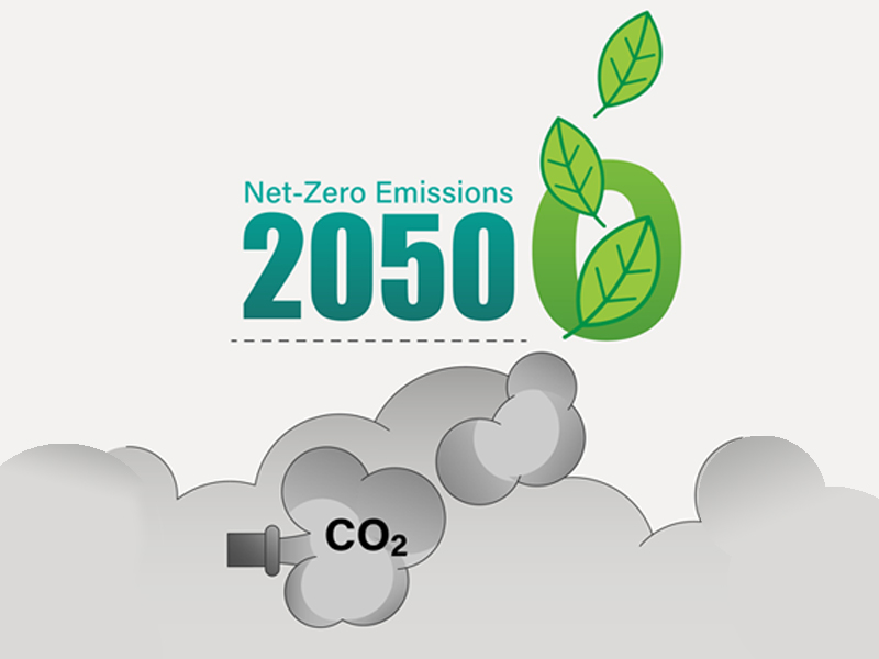 Sustainability Net Zero Emissions 2050 Goals by Zego