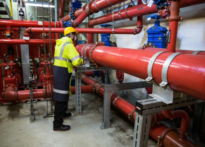 Plug Flanges for CUI Prevention by Bellis