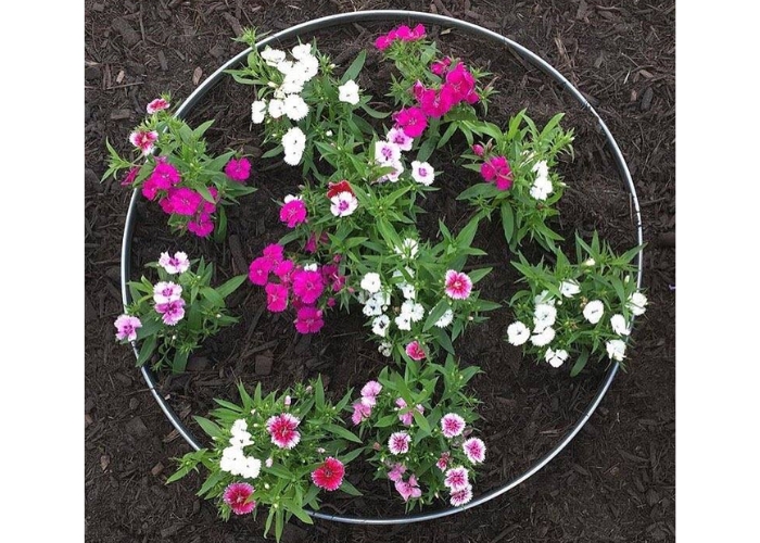 Steel Coated Garden Edging by FormBoss