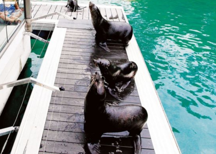 Slip-Resistant Walkways for Theme Parks by Futurewood