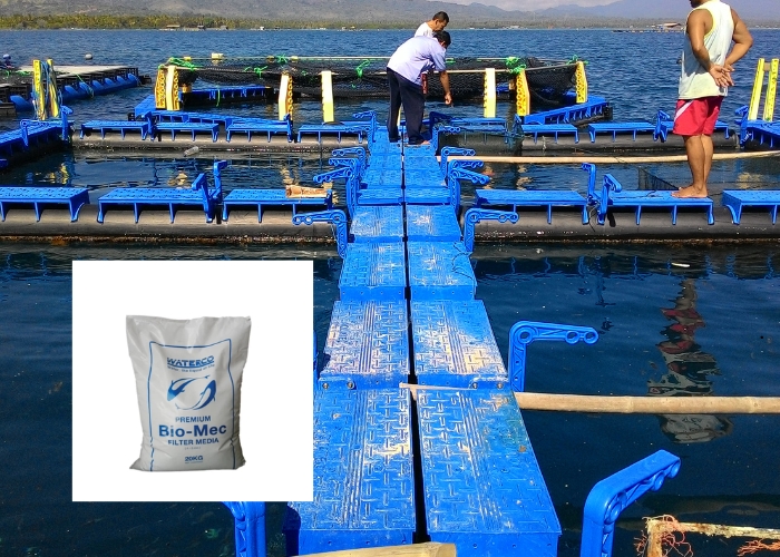 Advanced Bead Media for Efficient Filtration Systems by Waterco