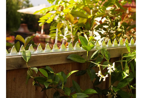 Croc Top Security Fencing