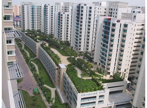 roof top garden