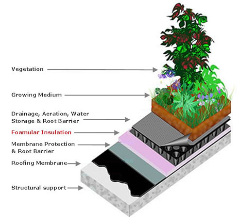 roof top garden with foamular