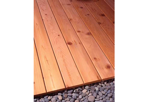 western red cedar