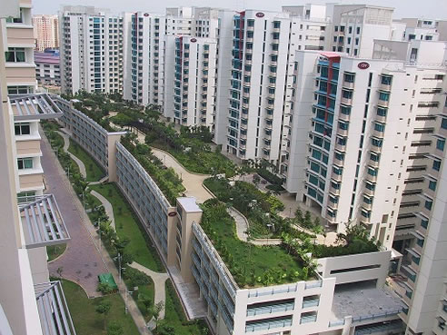 green roof gardens