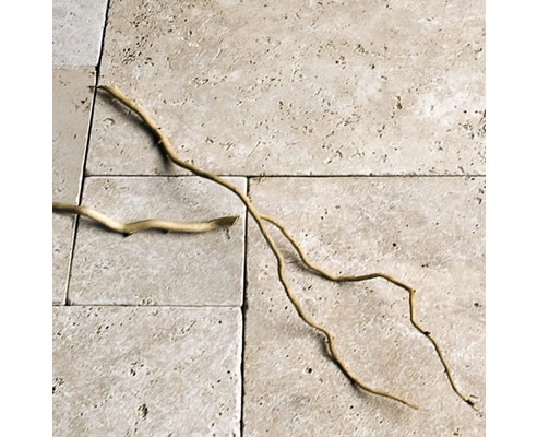 light coloured travertine tiles