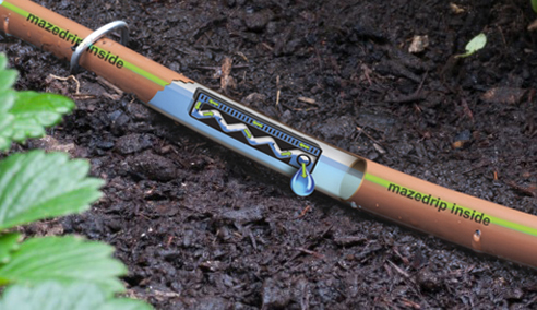 drip watering garden