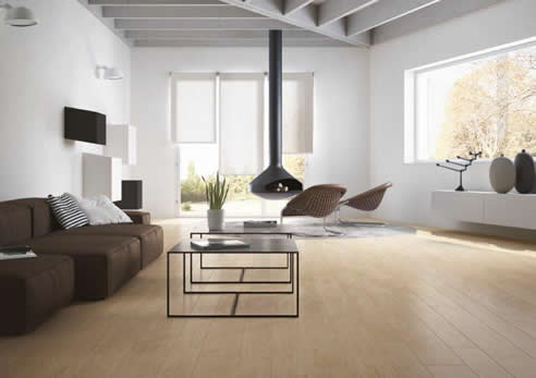 bi-fold doors iron