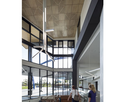Sustainable Decorative Acoustic Ceiling Tiles | Supawood