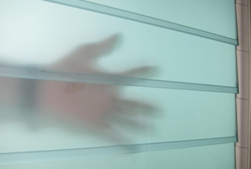 louvre privacy glass