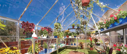greenhouse