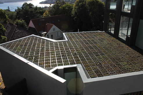 green roof