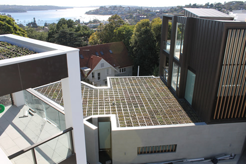 Extensive Green Roof