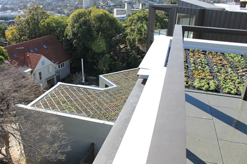 green roof trays with integrated water storage