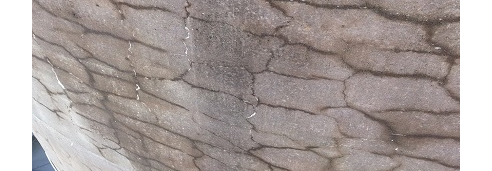 cracked concrete