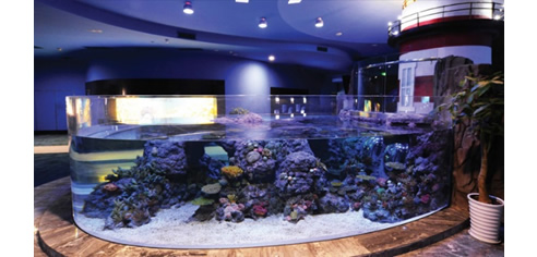 Plexiglas Curved Aquarium Pool