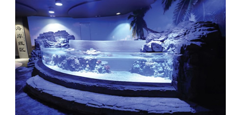 Plexiglas Aquarium