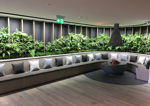 indoor green wall