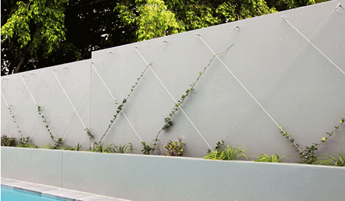Green Wall Packages Easy to Order from Miami Stainless