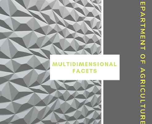 Multidimensional Facet Decorative Wall Panels from 3D Wall Panels