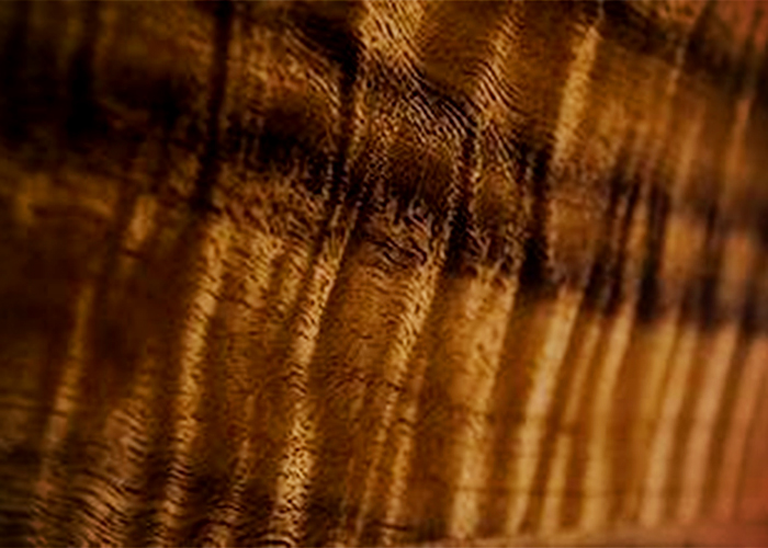 Designer Impact Panel in Smoked & Dyed Eucalypt from Ventech