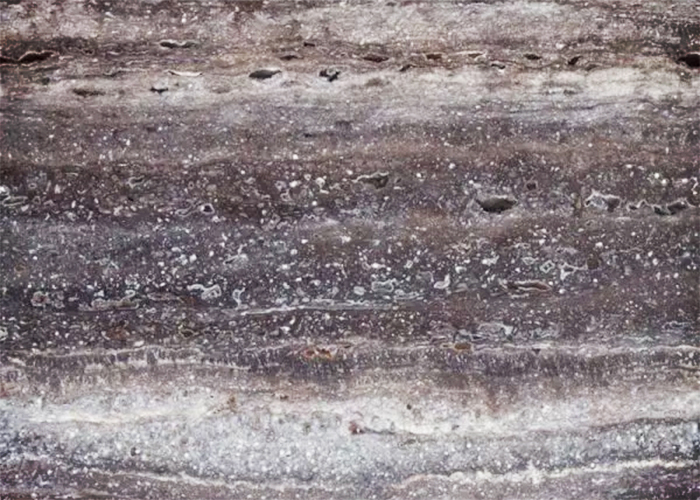 Titanium Italian Travertine Surfaces from RMS Marble