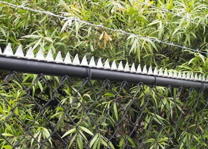 Anti-climb Croc Top Security Fence Spikes by ASF
