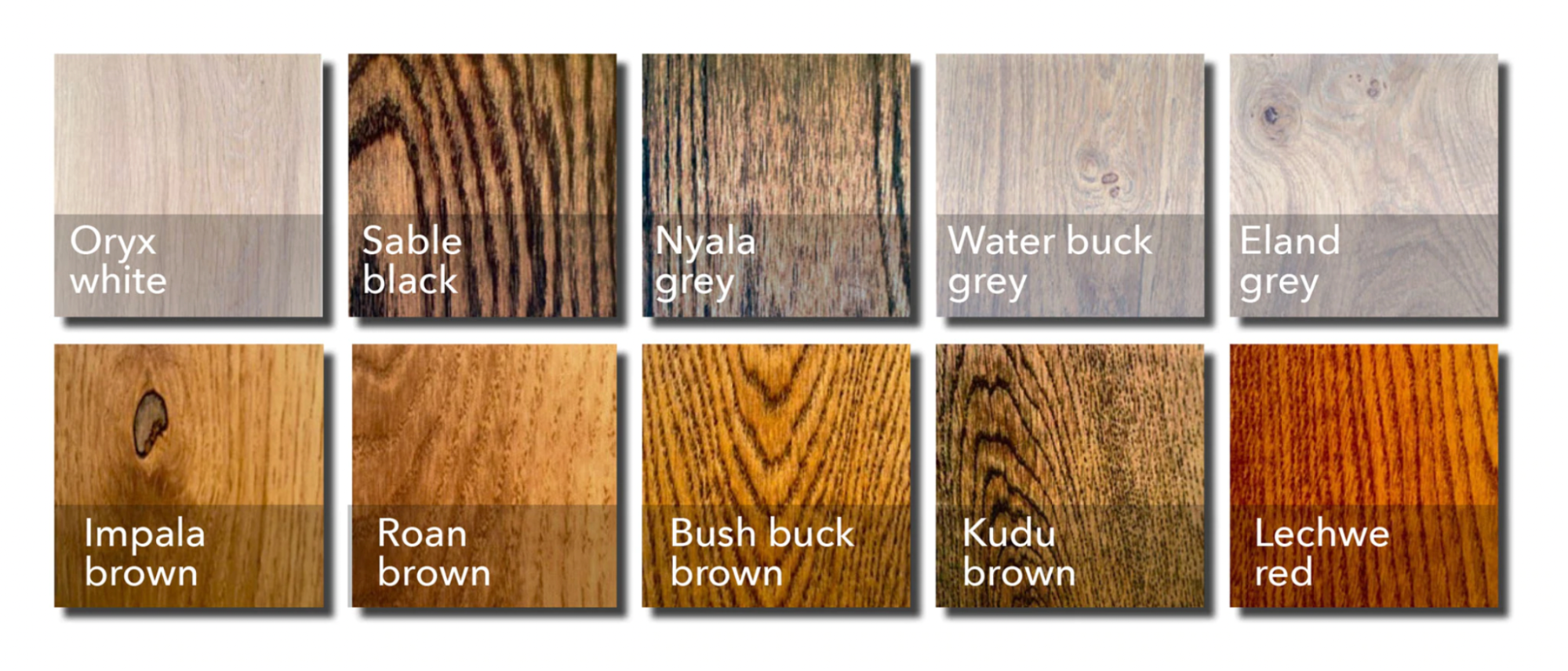 Natural Raw Colour Timber Flooring Stains from Whittle Waxes.