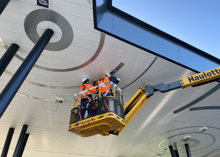 Merinda Park Station Public Artwork Commission with Axolotl