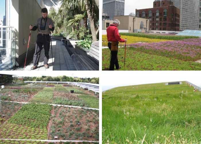 Leak Detection for Green Roof Systems by ILD Australia