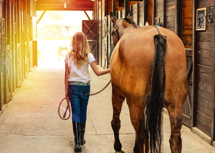 MARCH SALE BUCKAROOBARN 4004 MATS PLUS 2 FREE