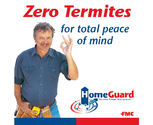 termite management