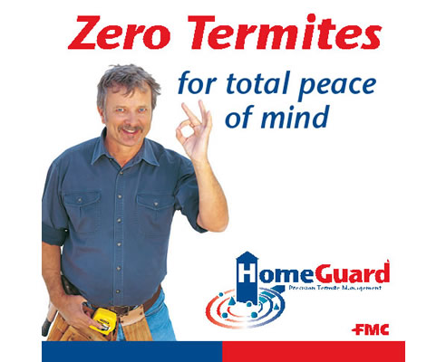 termite management