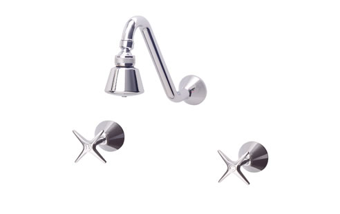 shower head and taps