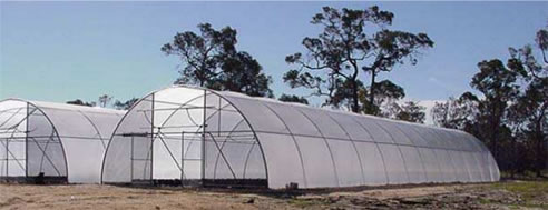greenhouse tunnel