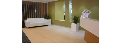 light coloured bamboo flooring