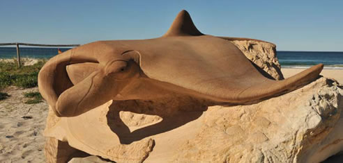 sandstone manta ray