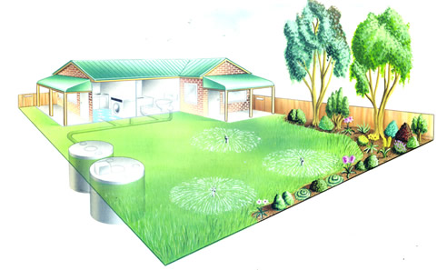 automatic watering system