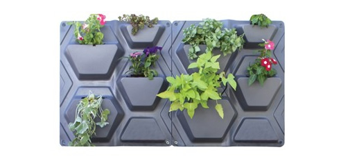 automatic watering system