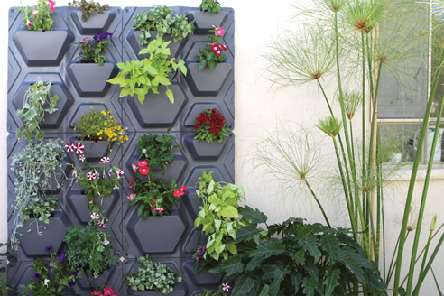 automatic watering system